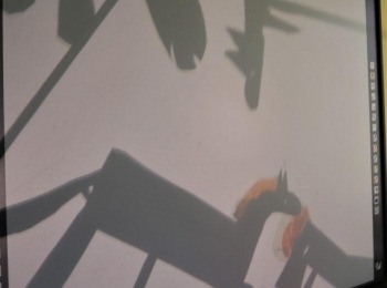 POU “Dr. Ante Starčević” Gospić