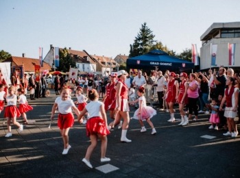 POU “Dr. Ante Starčević” Gospić