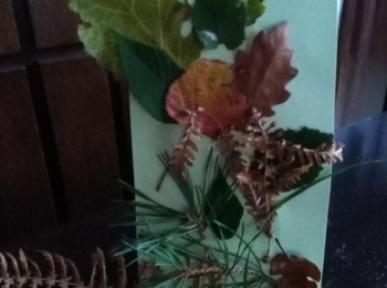 POU “Dr. Ante Starčević” Gospić